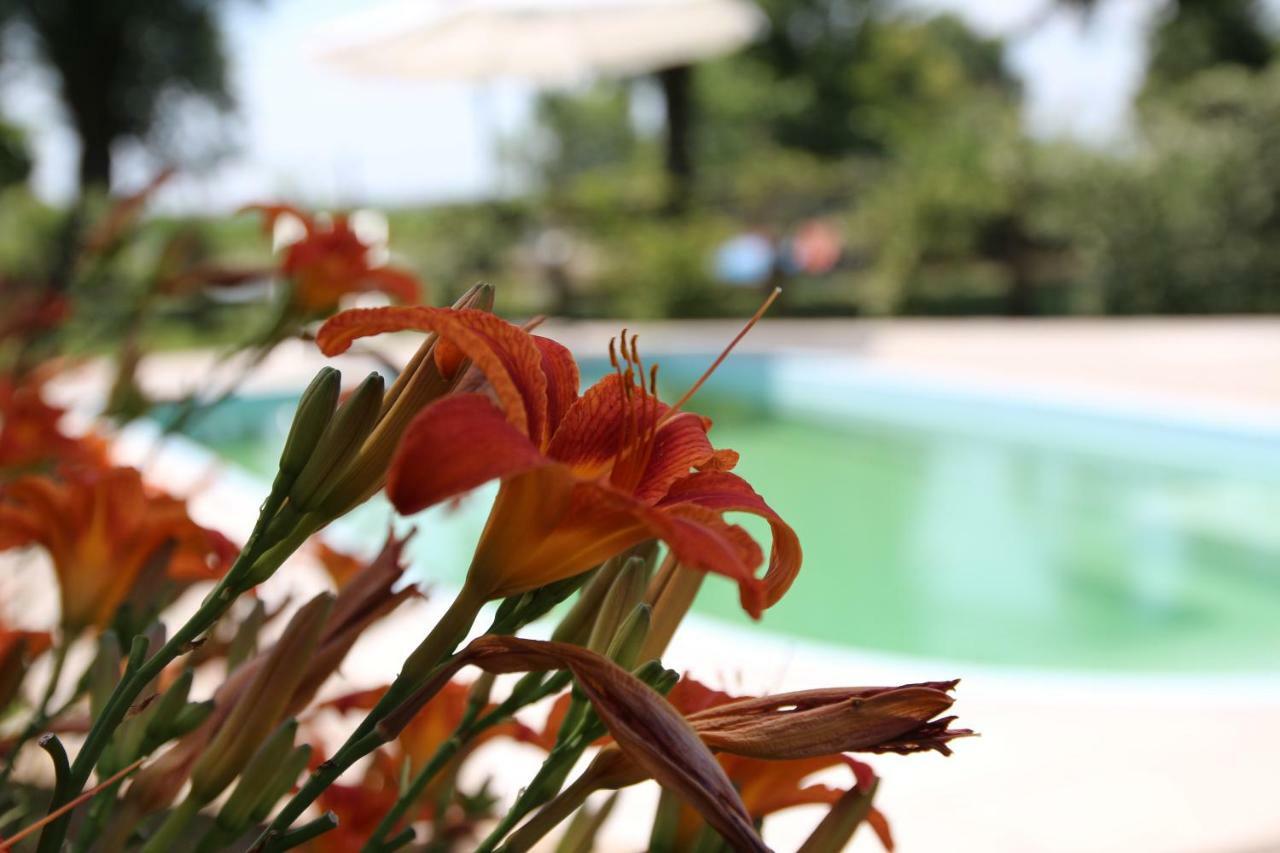 Agriturismo Ca' Alleata Caorle Exterior photo